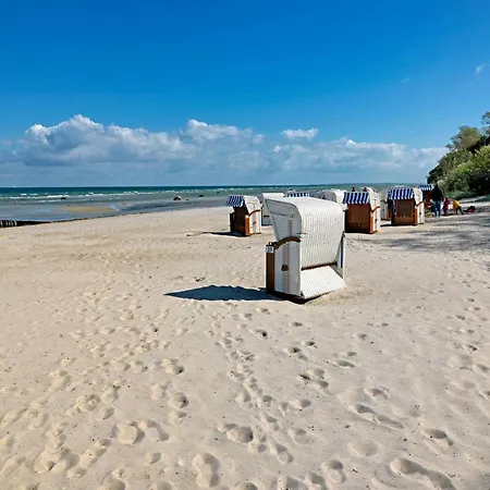Daenische Ferienhaeuser Am Salzhaff Haus Pacific 別荘 *