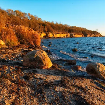 Daenische Ferienhaeuser Am Salzhaff Haus Pacific 別荘
