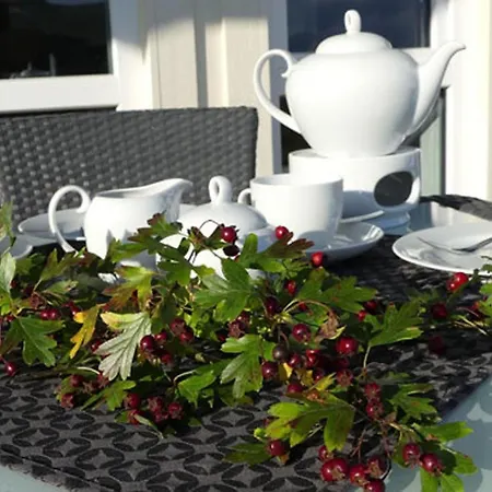 別荘 Daenische Ferienhaeuser Am Salzhaff Haus Pacific