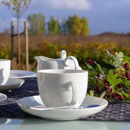 Daenische Ferienhaeuser Am Salzhaff Haus Pacific * インゼル・ペール