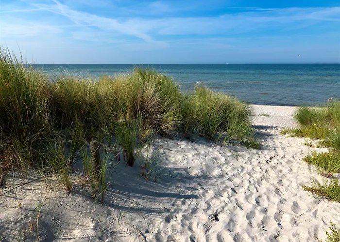 بيت للعطل Daenische Ferienhaeuser Am Salzhaff Haus Pacific *