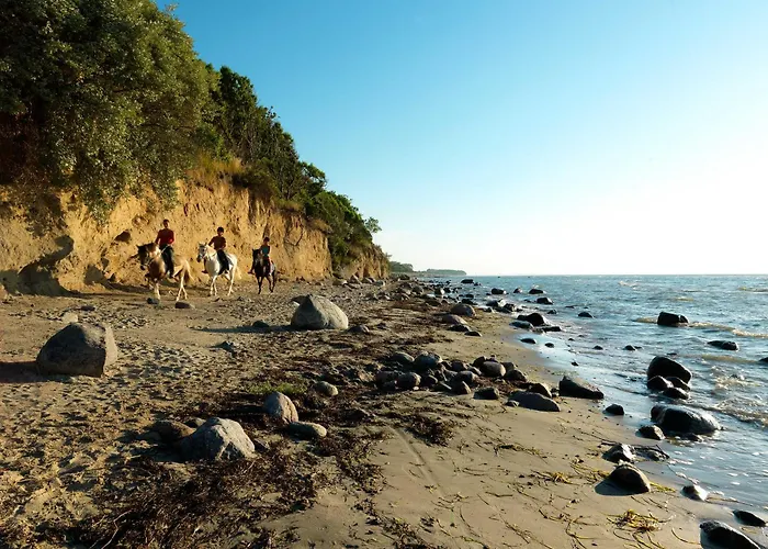 بيت للعطل Daenische Ferienhaeuser Am Salzhaff Haus Pacific